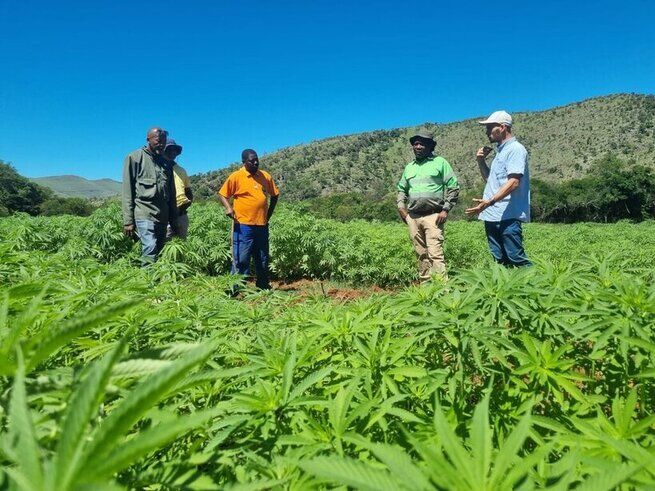 Ergonomic Excellence