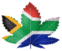 Marijuana Board Logo